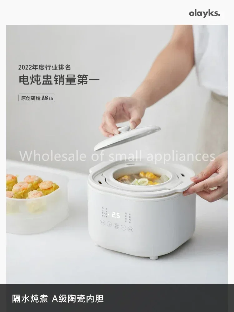220V Small Electric Cooker, Ba - Baby Food Home ulasan dan harga